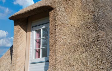 Mannamead thatch roof disadvantages